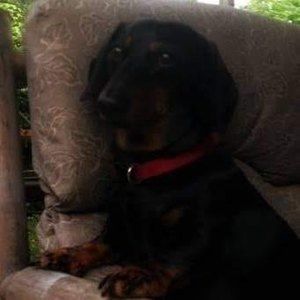 Meet your Posher, Jarrett